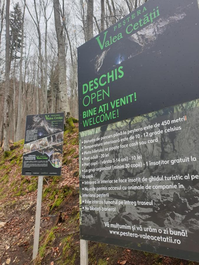Vila Dionysos Brasov Ghimbav Экстерьер фото